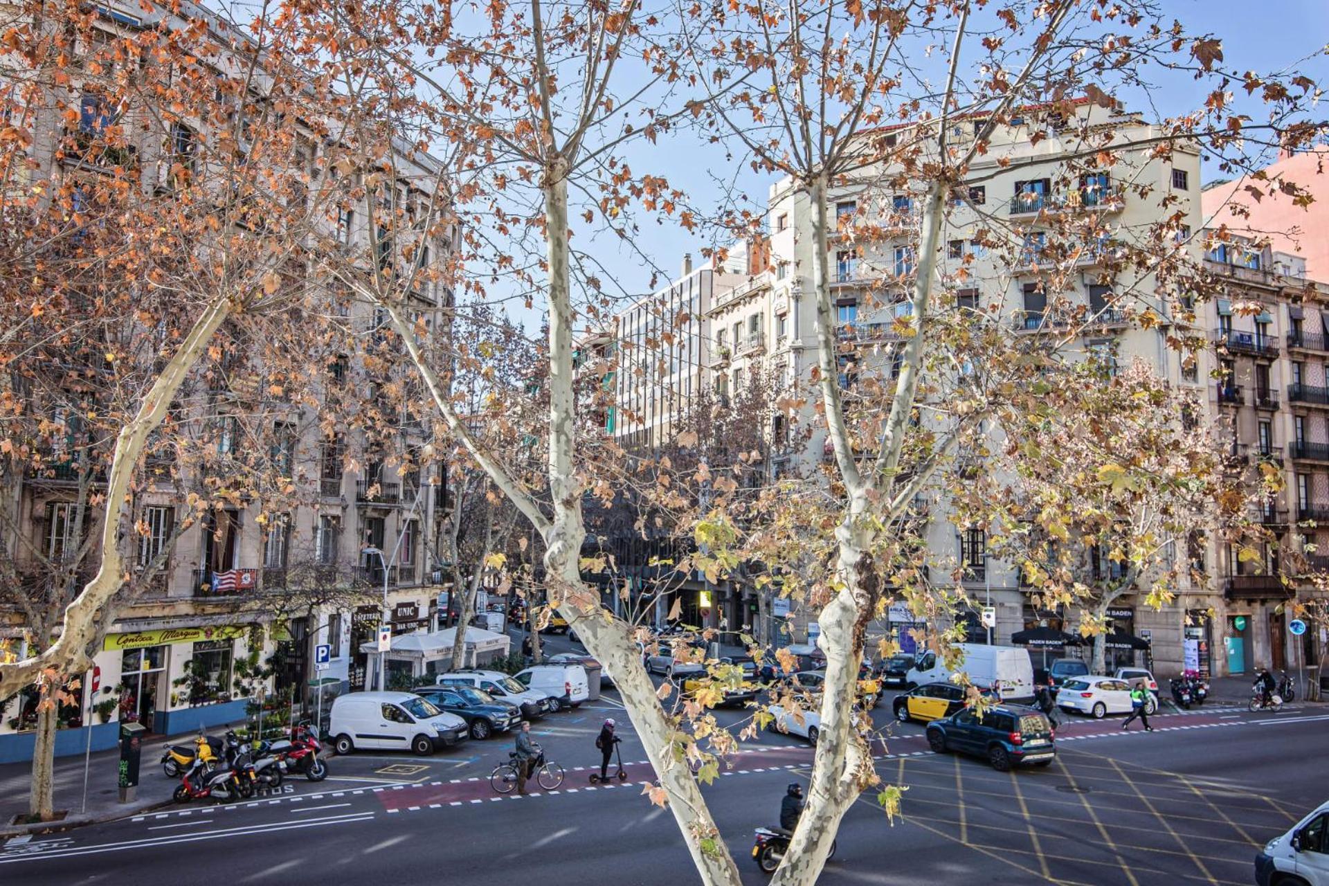 Comte Urgell Apartment Barcelona Exterior photo